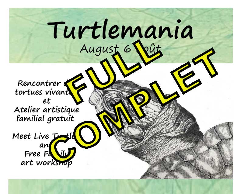 Turtlemania