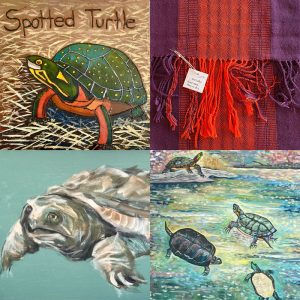 Call of the Turtle - auction!